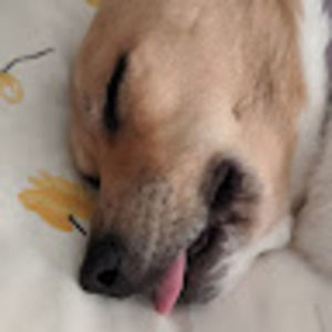 Meet your Posher, Maybabyy